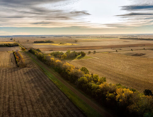 Land Value Analysis 2021