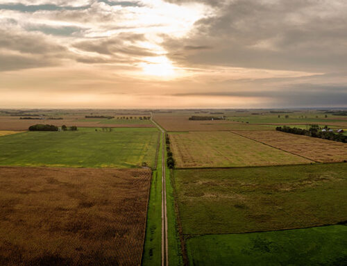Get the Lay of the Kansas Land (Values) in 2023