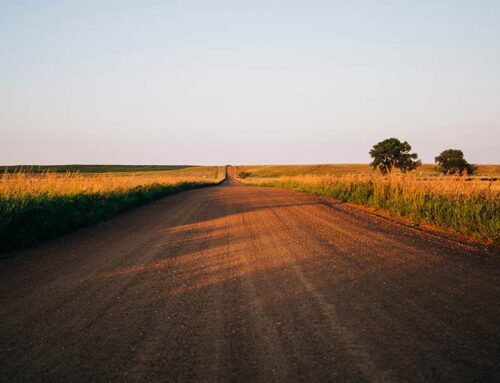 U.S. Agriculture: New Tariffs, Same Issues