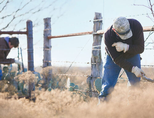 Farm Loans and Grants: Funding for Farmers and Ranchers