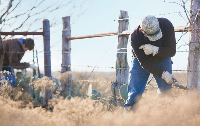 A farmer working on repairing a fence in the field, maintaining agricultural property on a sunny day in the countryside.