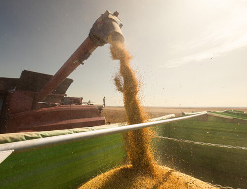 2024 in Review: A Look at the U.S. Markets and Ag Commodities