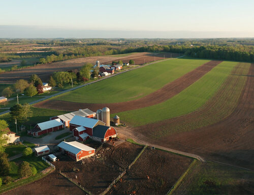 Thriving Agriculture Land Values in 2022