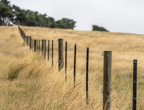 Ag Financing: Regulatory Burden Costs All of Us