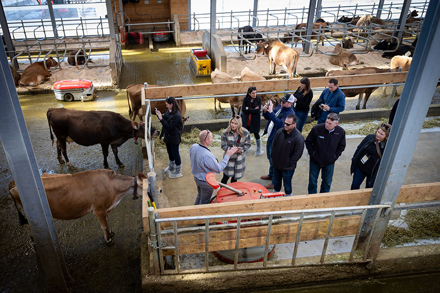 Young, beginning, and small producers tour the dairy barn full of cows and learn about operations at Ballerina Farm.
