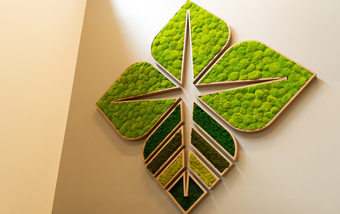 Modern BioStar symbol made of wood and filled with living moss hangs on a sunlit wall.