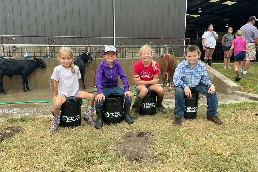 Four fair kids sit atop black five gallon feed buckets bearing the High Plains Farm Credit logo. Cattle stand tied in the background, ready to show.