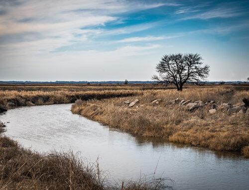 Agriculture and Water Availability Issues in Kansas