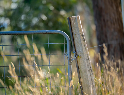 7 Tips to Protect Your Farm From Financial Fraud