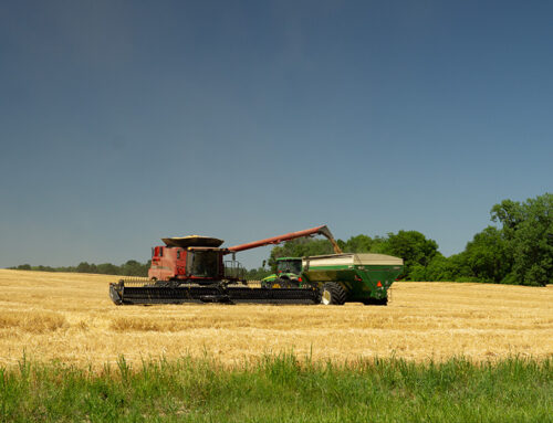 What You Need to Know Before Choosing a Farm Operating Line of Credit