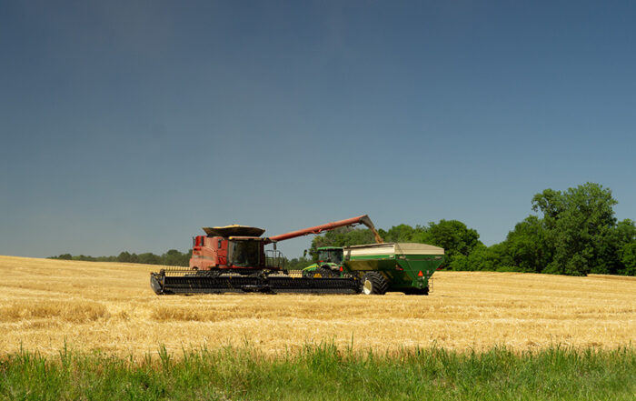 Combine unloads wheat into a grain cart during harvest time, an important season to have an operating line of credit for consistent cash flow.