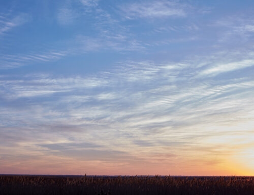 2025 Land Values in Kansas: Another Year of Volatility