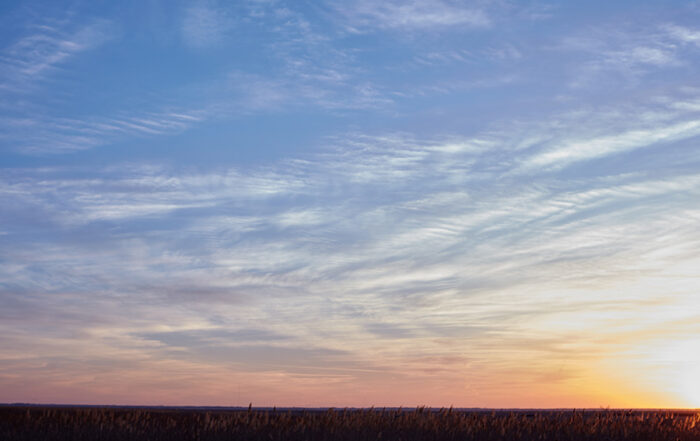 Pasture land values in Central Kansas increased by 19.56% in 2025.