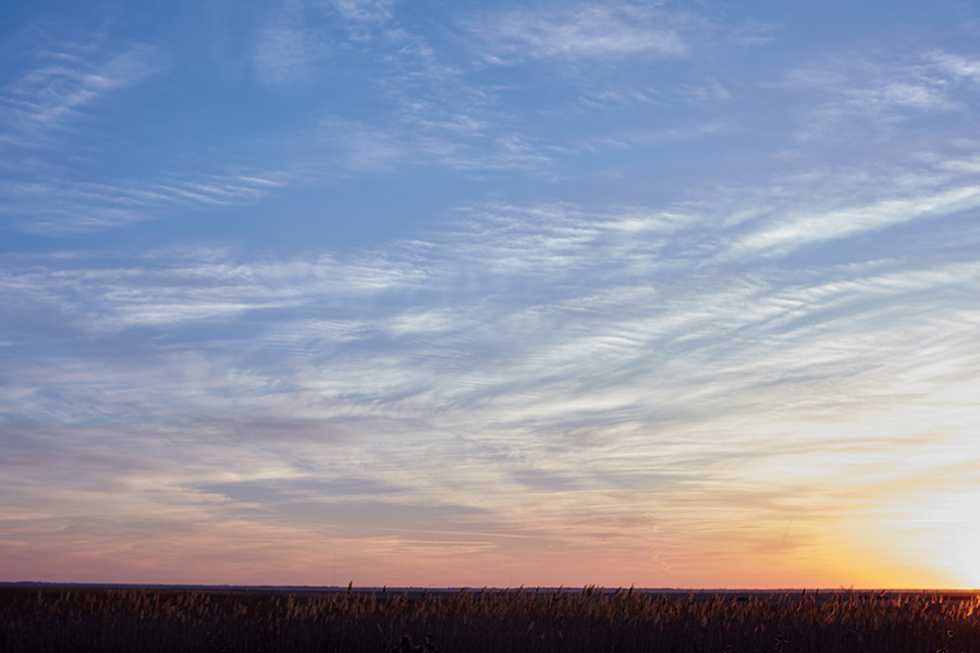 Pasture land values in Central Kansas increased by 19.56% in 2025.