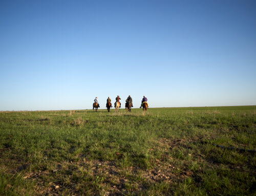 2026 Ag Economy Volatility and Trade Uncertainty