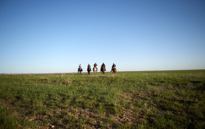 Group of cowboys riding horses through an open pasture, highlighting the importance of connection and community during stressful times in agriculture.
