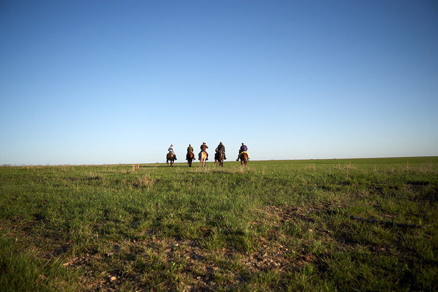 Group of cowboys riding horses through an open pasture, highlighting the importance of connection and community during stressful times in agriculture.