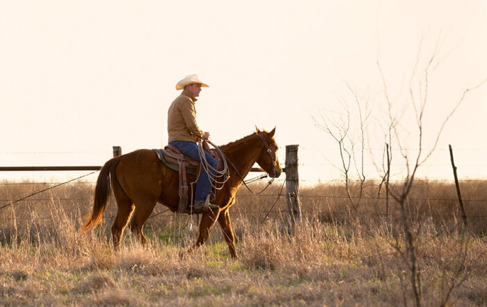 A rancher rides his horse through a dry pasture in early spring, concerned with the challenges of the current ag economy.