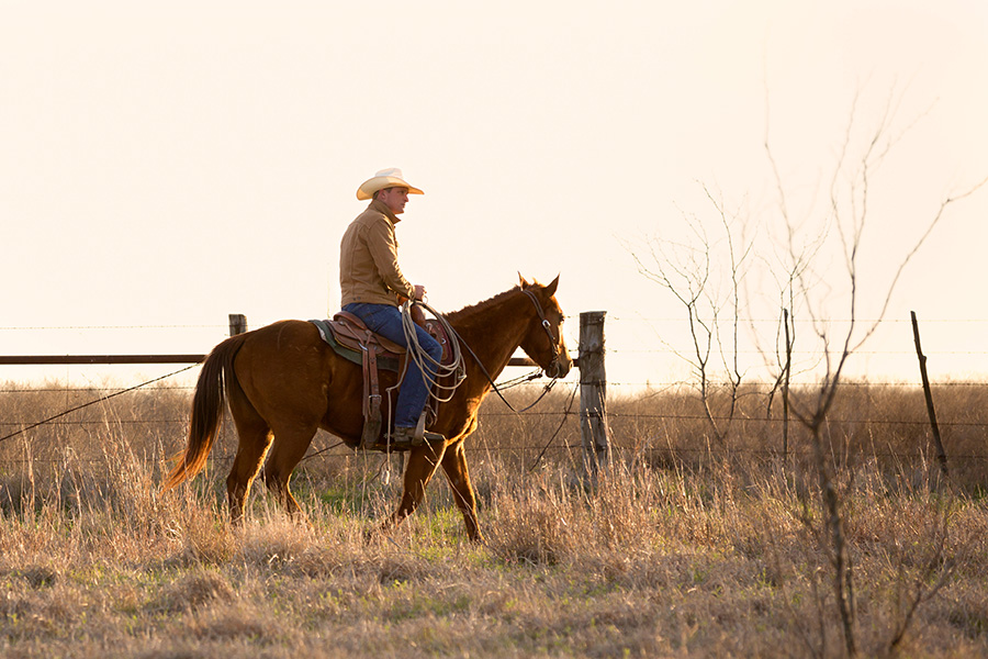 Cowboy rides through dry grass that could benefit from coverage by a Pasture, Rangeland, Forage insurance policy.